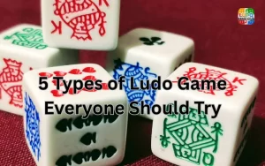 types of ludo game